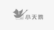 小天鹅