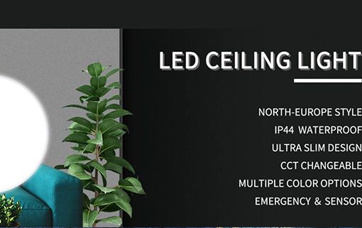 Foshan Rayven Lighting Co., Ltd